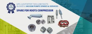 Twin Lobe Roots Blower & Vacuum Pumps Spares & Services - Spare for Roots Compressor Manufacturer in IndiaManufacturer and Supplier in Ahmedabad, Gujarat, India